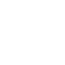 The Bridge linkedin icon